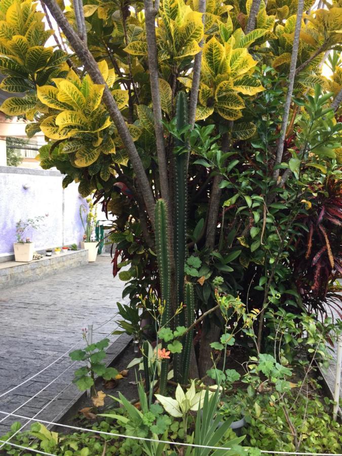 Casa Aconchegante Em Vila Valqueire Rio de Janeiro Dış mekan fotoğraf